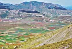 18 Sabato 25 e Domenica 26 maggio MONTE VETTORE 2476 m s.l.m. (con pernotto) Il Monte Vettore (dal latino victor, «vincitore») è il rilievo montuoso più alto del massiccio dei Monti Sibillini, con i suoi 2.