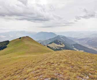 22 Domenica 14 Luglio MONTE CAPPUCCIATA E MUSEO DI VICOLI Gruppo montuoso: Parco Nazionale Gran Sasso Monti della Laga Difficoltà: T Dislivello: 350 m Km: 6 km Tempo: 3.