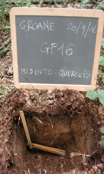 25 GF016 Classificazione EUMODER Località Misinto Data 20/09/2002 Rilevatori Marco Pastori Vegetazione Querceto OLn 0-2