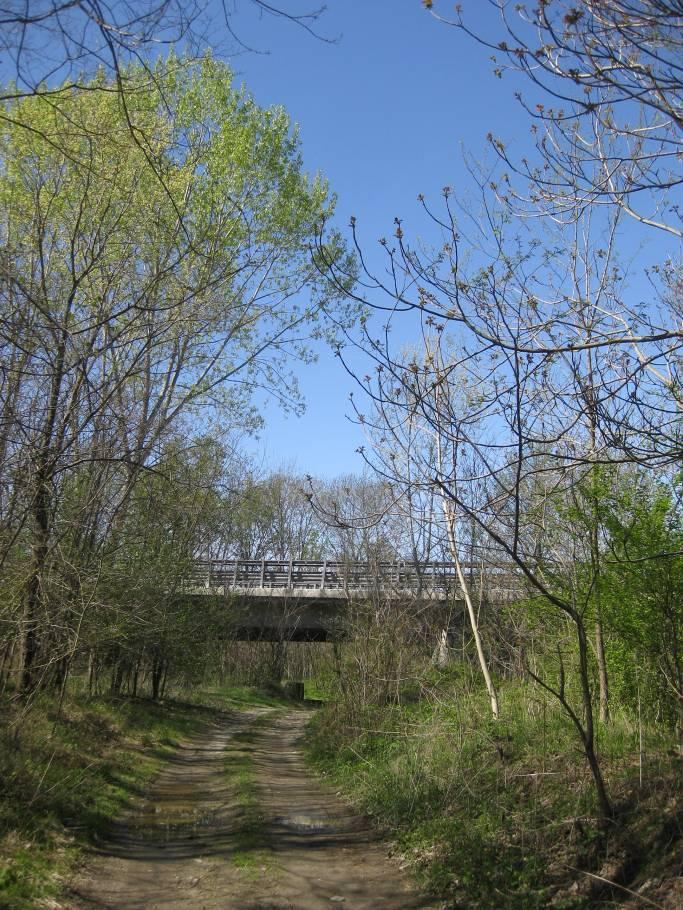 1.4 - Percezione visiva del Viadotto Chiusella Vista dal sentiero che costeggia il