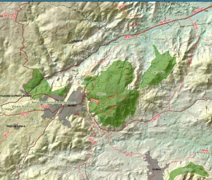 FONTE: ENTE FORESTE DELLA SARDEGNA Interessa una superficie di 1.584 ha di cui 132 di proprietà pubblica. L area del Monte ricade in zona vincolata ai sensi del R.D. 3267/1923 e della L. 991/52.