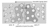 L. Marcolini conduzion eletriche che in chest strât di cristal si displee al ven, come se tal materiâl si movessin, invezit dai eletrons, cjariis positivis tal viers ledrôs. 2.2 La comissure P-N.