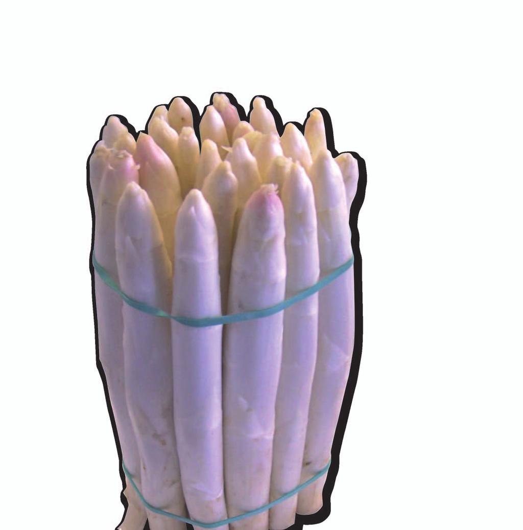 Asparagus