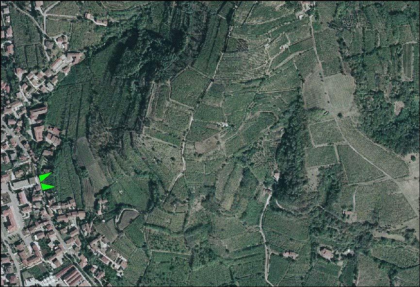 sistemazioni agrarie con terrazzamento e vigneti.