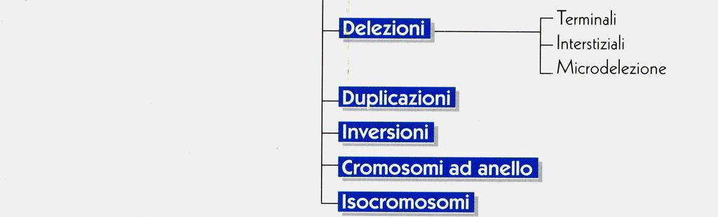 Le anomalie strutturali (aberrazioni cromosomiche) sono dovute a rotture, delezioni,