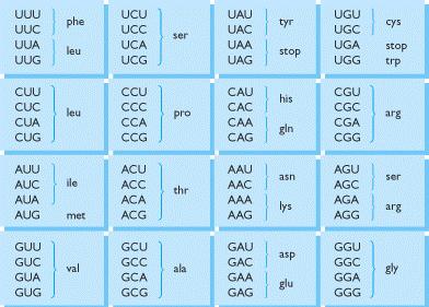 UCLE Codice genetico