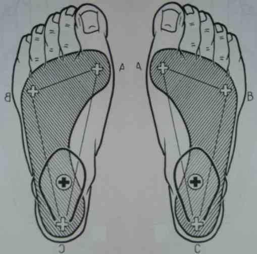 Il peso del corpo trasmesso all arto inferiore si