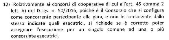 Il servizio in caso di RTI deve essere svolto come indicato nel Disciplinare di gara. in ogni comune tutti i servizi di Igiene Ur