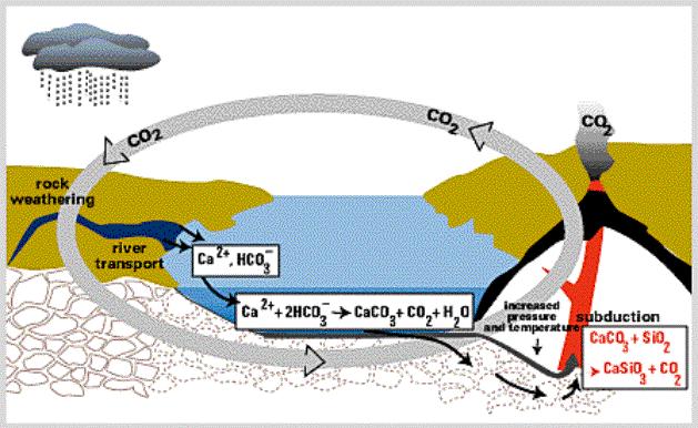 Il Ciclo del Carbonio: scale