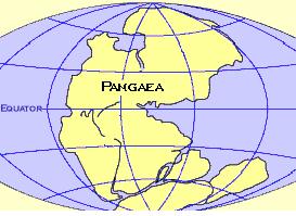 Asia, Africa, Europa, Americhe, Oceania e Antartide facevano parte, all'origine, di un unico grande continente "Pangea", formatosi circa