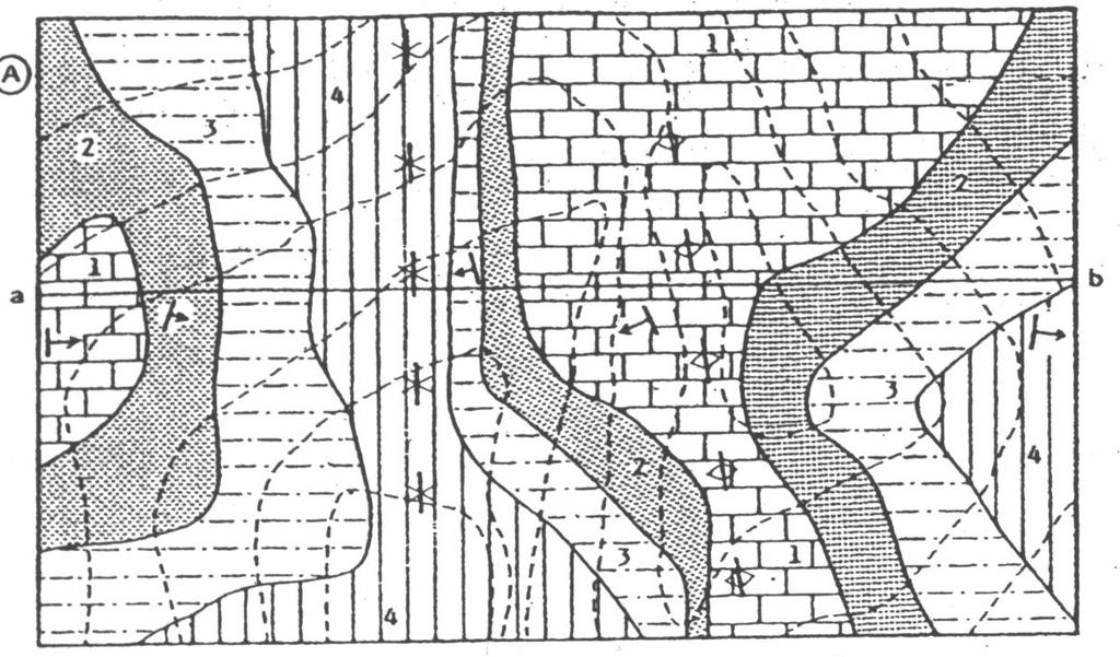 Si tracci il profilo topografico e la