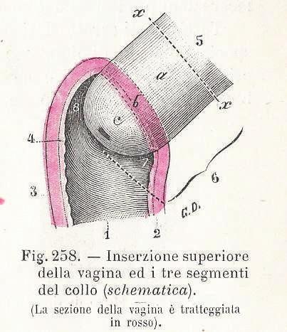 Una parte della struttura