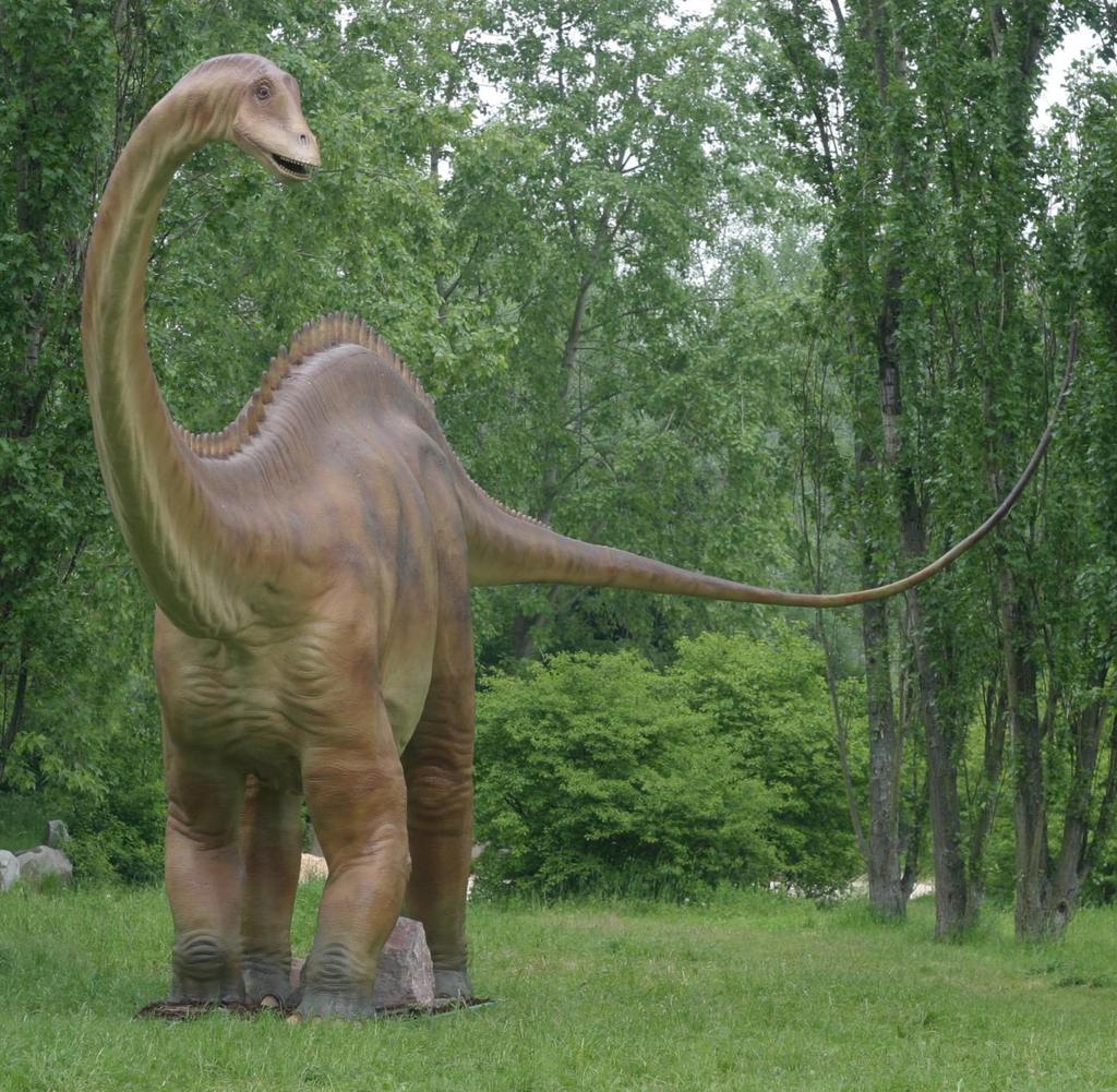 L DIPLODOCUS Auteza: 11 m. Longheza: 28 m.