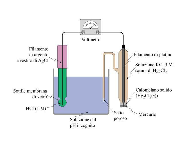 Elettrodi di seconda specie: metallo/sale poco solubile del metallo/anione del sale gli elettrodi a calomelano e Ag/AgCl (elettrodi di riferimento) sono di questo tipo Questi sono elettrodi