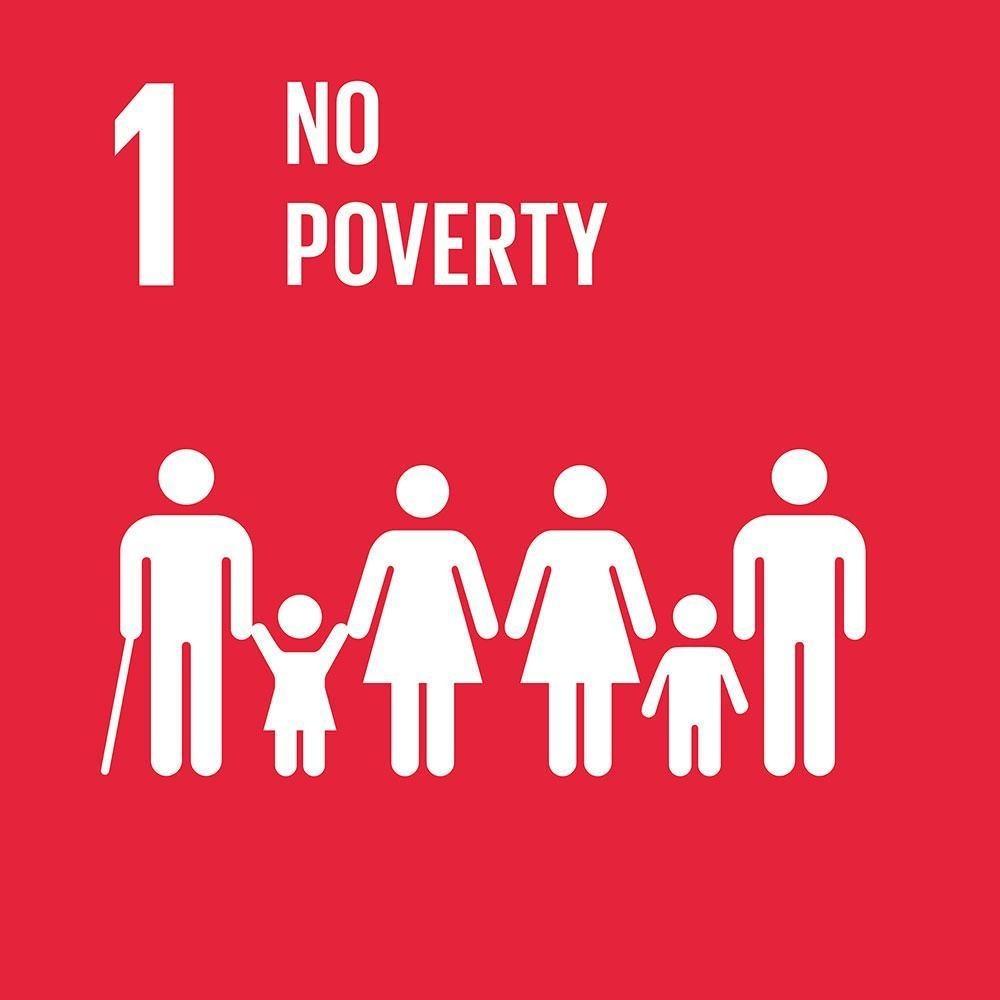 Obiettivo 1: Porre fine ad ogni forma di povertà nel mondo 1.1 Sradicare la povertà estrema (<1,25$/g) 1.2 Ridurre del 50% le povertà nazionali 1.3 Implementare adeguata protezione sociale 1.