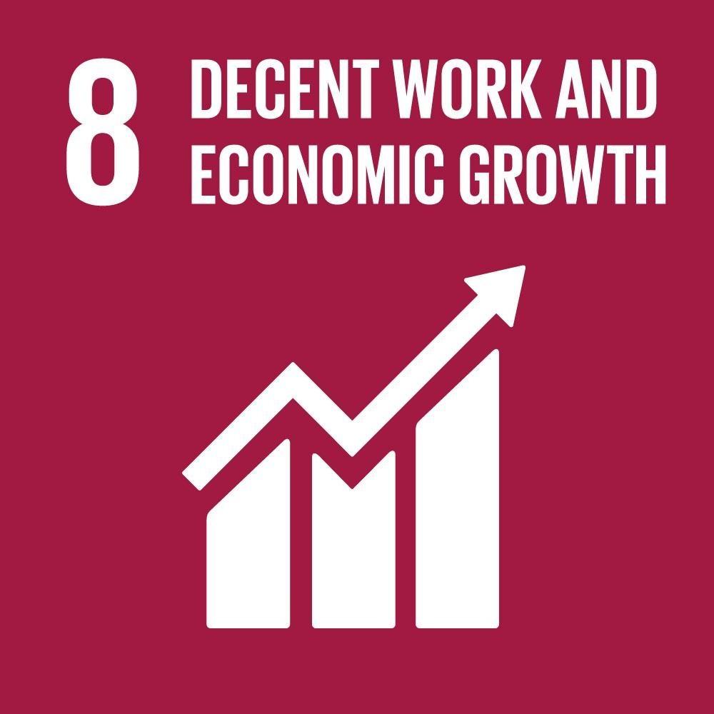 Obiettivo 8: Incentivare una crescita economica duratura, inclusiva e sostenibile, un occupazione piena e produttiva ed un lavoro dignitoso per tutti 8.1 Sostenere la crescita economica pro capite 8.