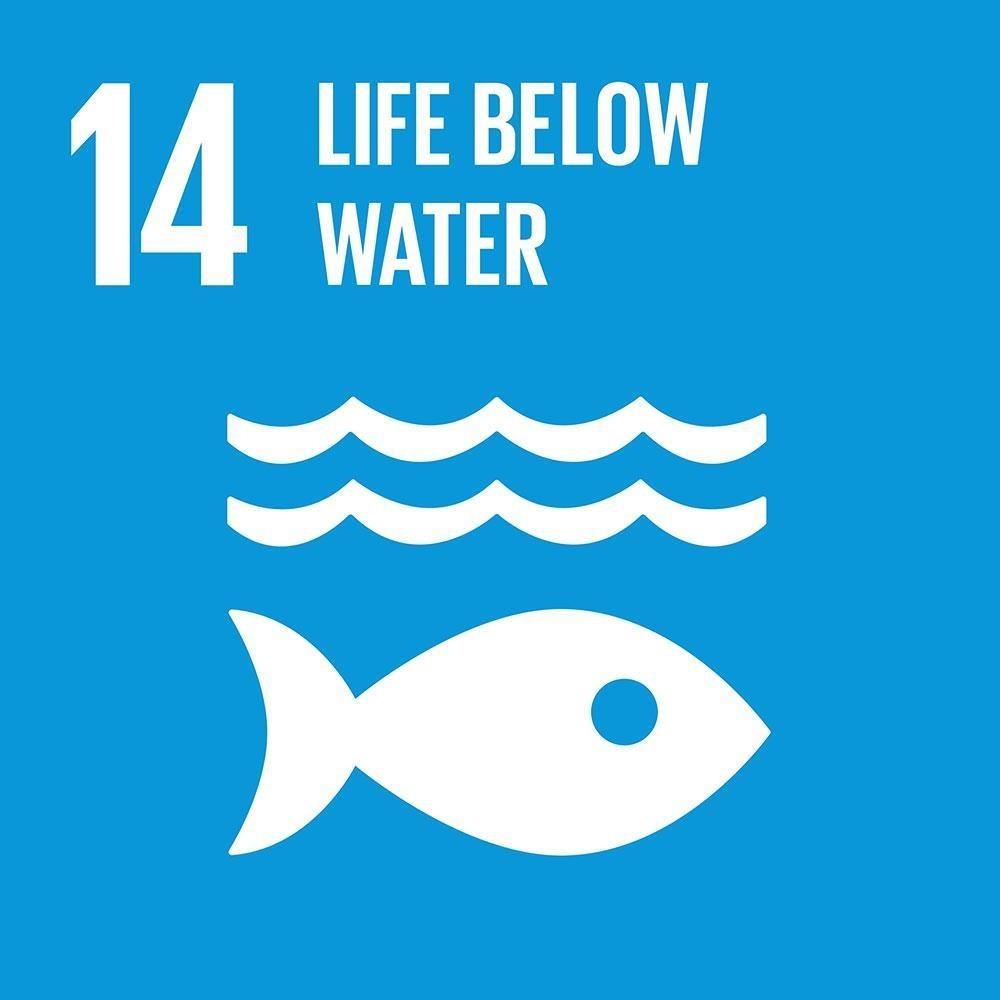 Obiettivo 14: Conservare e utilizzare in modo durevole gli oceani, i mari e le risorse marine per uno sviluppo sostenibile 14.1 Prevenire e ridurre l inquinamento marino 14.