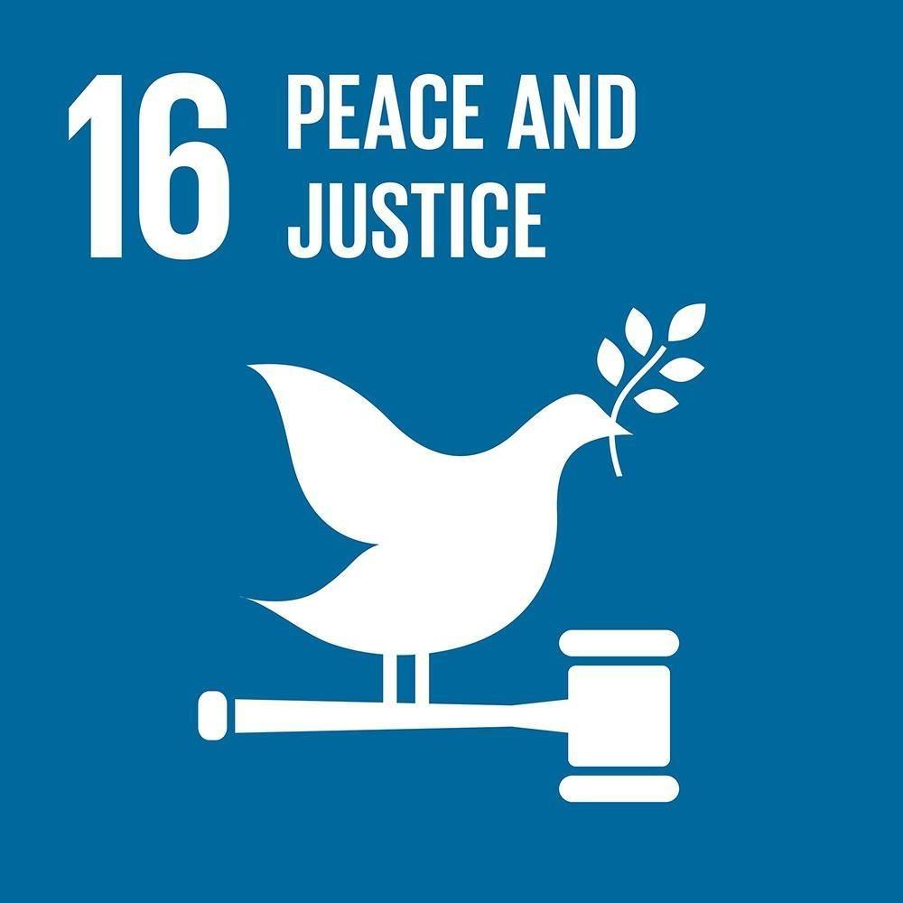 Obiettivo 16: Pace, giustizia e istituzioni forti 16.1 Ridurre le forme di violenza e il tasso di mortalità ad esse correlato 16.
