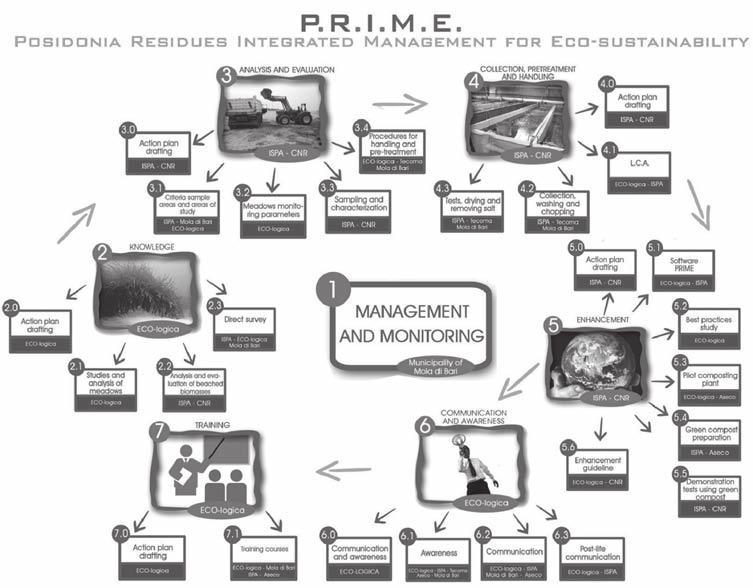 2. Relazione 2.1. Principali obiettivi del Progetto P.R.I.M.E. Il progetto P.R.I.M.E. Posidonia residues integrated management for eco-sustainability Errore. L origine riferimento non è stata trovata.