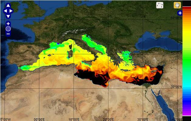 innestando a cascata: modello oceanografico MFS, reanalisi dei campi di corrente,