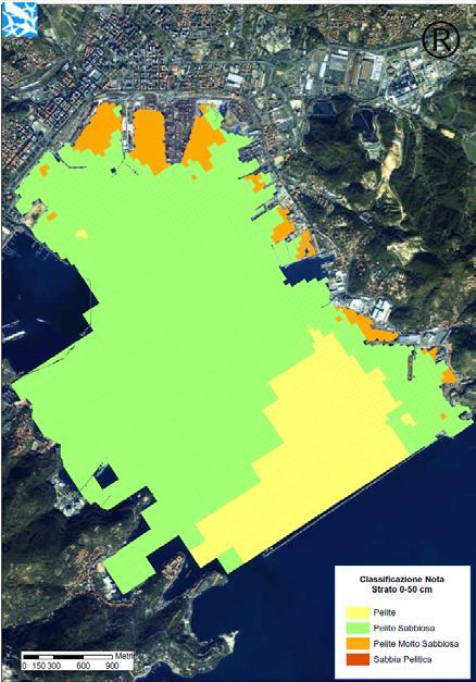 Modello di dispersione dei sedimenti Definizione degli scenari di dragaggio Verranno identificati alcuni scenari di dragaggio caratterizzati da: tipologia di draga e tecniche operative; area soggetta