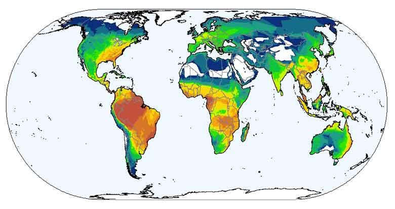 Parallelismo tra latitudine e altitudine Il numero di specie di Anfibi e Rettili diminuisce