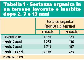 due fenomeni