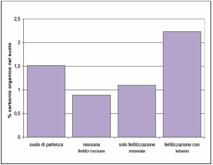 Dinamiche del carbonio organico nel suolo in funzione della