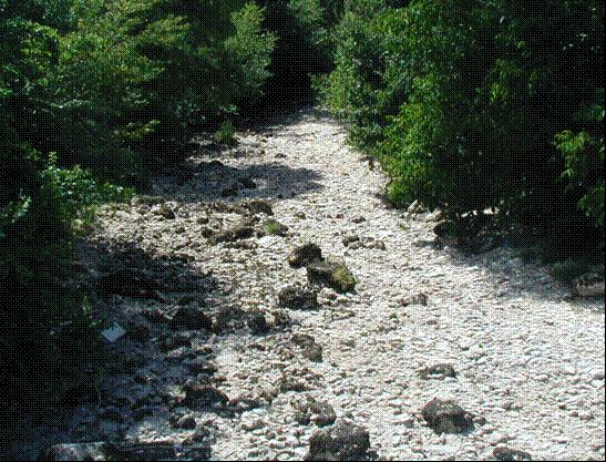 I fiumi appenninici perenni hanno bassa resistenza e scarsa resilienza nei confronti delle secche estive La riduzione delle