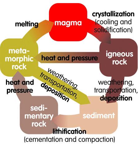 Il ciclo litogenetico le rocce ignee si formano per cristallizzazione del magma la degradazione meteorica e la successiva sedimentazione dei detriti di roccia genera le rocce sedimentarie rocce