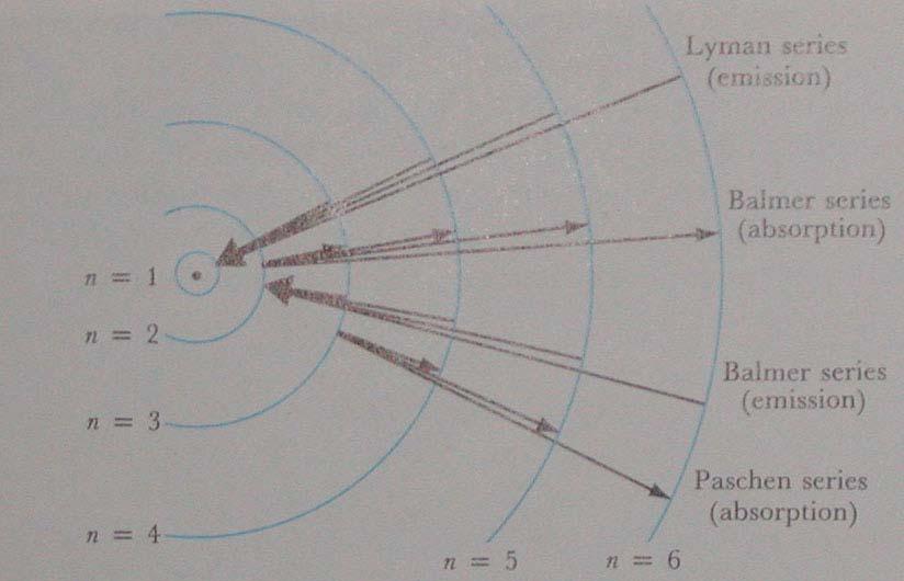 Bohr ipotizzò che gli elettroni orbitassero intorno al nucleo solo su certe ben precise orbite, mentre non potevano (per motivi ignoti) utilizzare orbite intermedie.