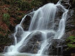 LA SEGHERIA DE LEO In località Petrulli, sempre nel Comune di Sant Eufemia d Aspromonte, immersa nel verde del Parco, la segheria De Leo rappresenta una delle prime industrie aspromontane per la