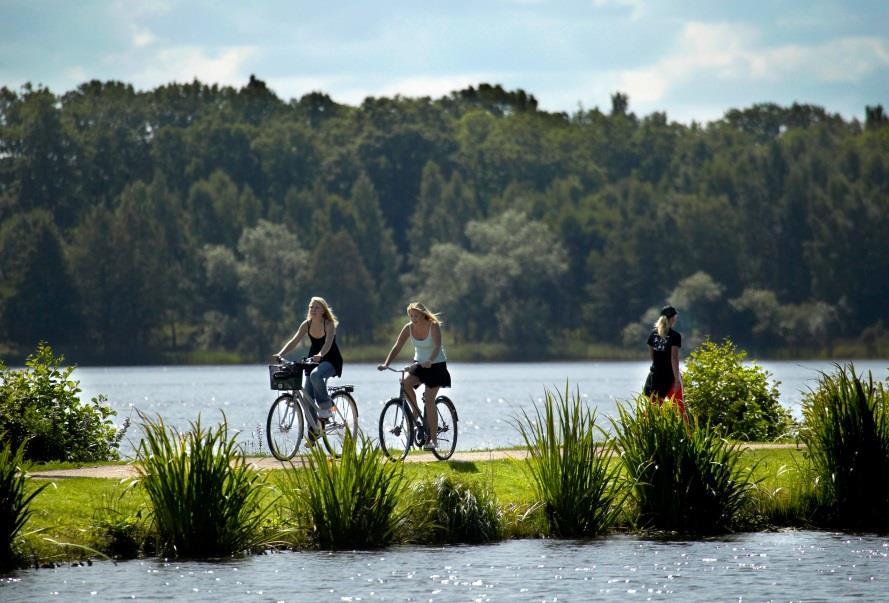 I membri in azione Controllare a livello locale la fornitura di energia Växjö, Svezia 90 000 abitanti.