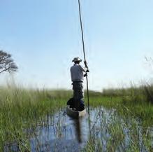 e Zimbabwe DA NON PERDERE 1 IN MOKORO sul Delta dell Okavango 2 LUNGO IL fiume Chobe 3 I BIG