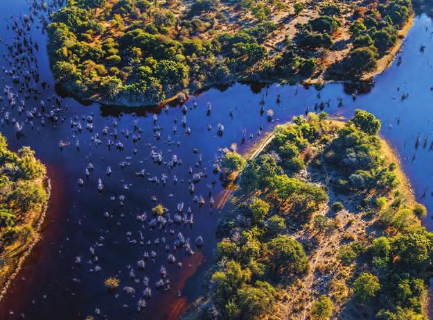 e Zimbabwe DIARIO del tour: SISTEMAZIONI PREVISTE : Sprayview Hotel Chobe: Chobe Safari Lodge Delta Okavango: Moremi Crossing Lodge 1 GIORNO: VICTORIA FALLS Arrivo a, trasferimento in hotel e