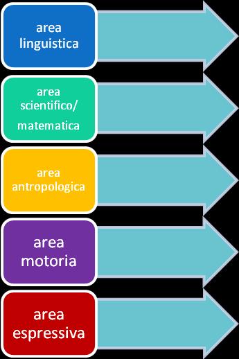 Il Collegio dei Docenti, pertanto, ha definito un Curricolo Verticale d Istituto a partire dal quale i docenti, in stretta collaborazione, individuano le esperienze di apprendimento più efficaci, le