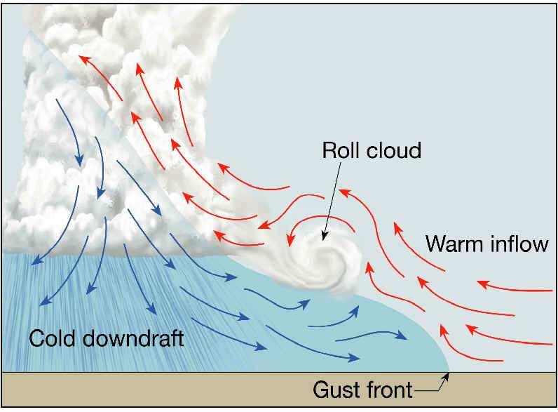 Pericoli: gust