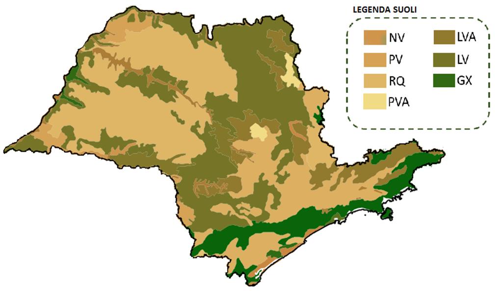 SUOLI Sud-America e Centro-America BASSA