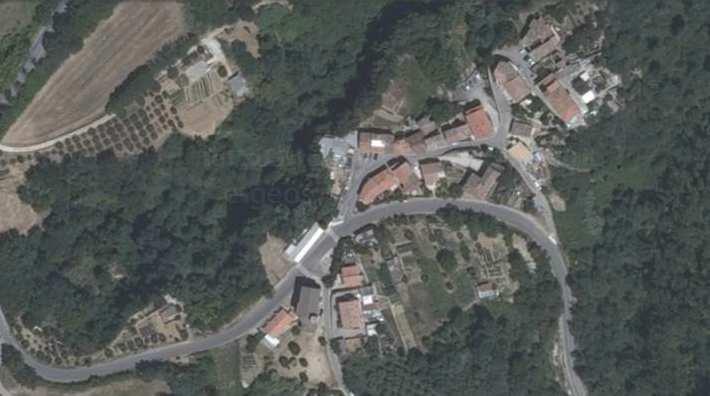 Area F-1772 - Località Castel Folignano Caratteristiche geomorfologiche dell area in dissesto Il dissesto in esame è costituito da un movimento che interessa la porzione medio alta della scarpata