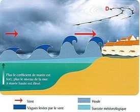 Tale effetto legato a un innalzamento importante del livello del mare sul litorale, è causato sia dagli intensi venti legati a un intenso gradiente barico, sia ai valori di pressione estremamente