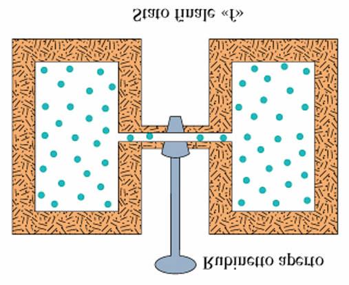 irreversibile P.