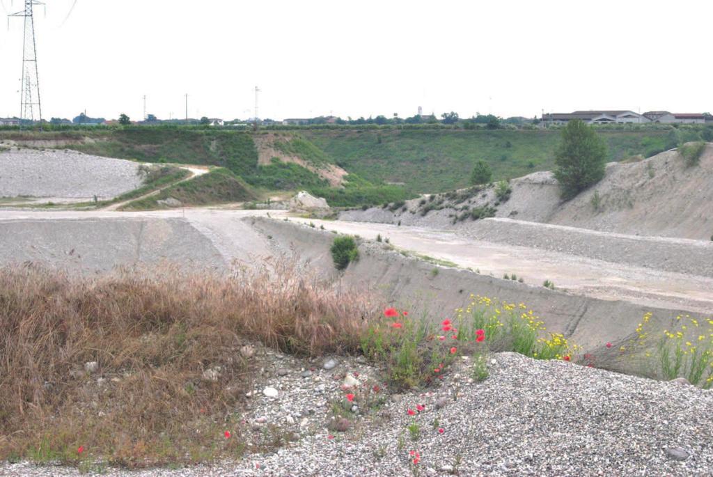 Potenzialità del Territorio Un