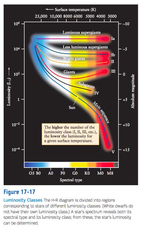 6. Le classi di luminosita Dallo spettro e dal colore si risale alla classe di luminosita della