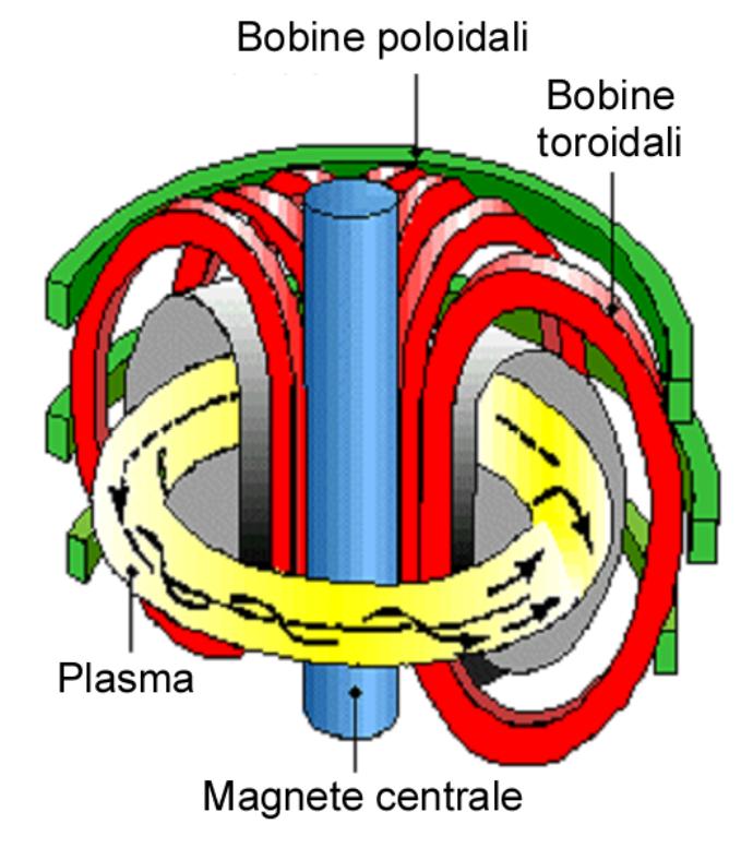Fusione nucleare: il tokamak Per minimizzare la perdita di particelle di plasma (nuclei di deuterio e trizio) le linee del campo debbono essere elicoidali.