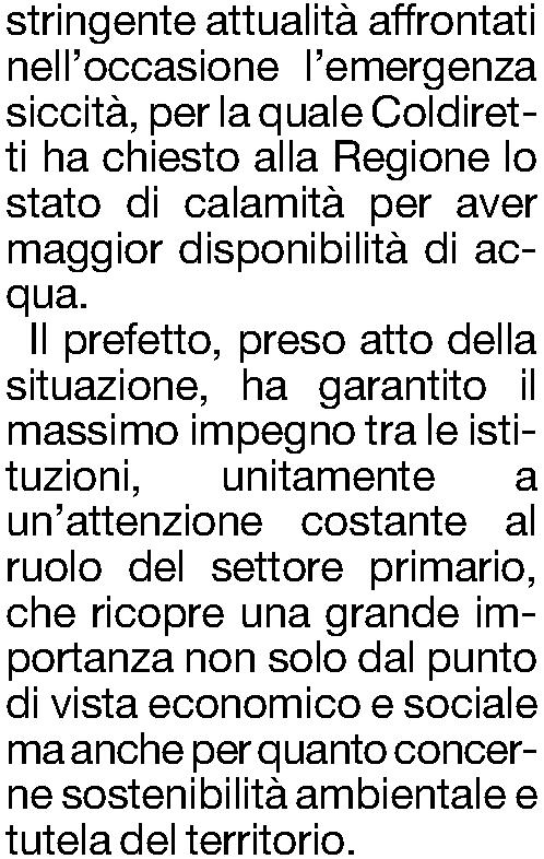 Quotidiano -