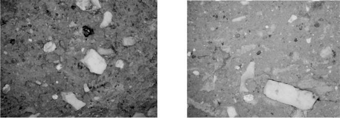 Roberto Perna, Sofia Cingolani, Valeria Tubaldi, Valentina Capradossi & Ludovica Xavier de Silva Fig. 10. Ceramica da fuoco impasti visti al microscopio.