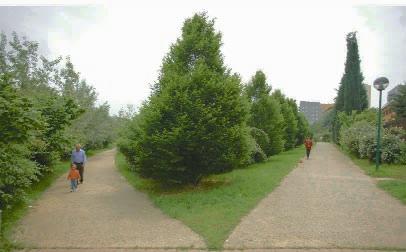 parcheggi, aree di sosta, spazi destinati a verde pubblico, percorsi pedonali e ciclabili, orti urbani, illuminazione, oggetti di arredo