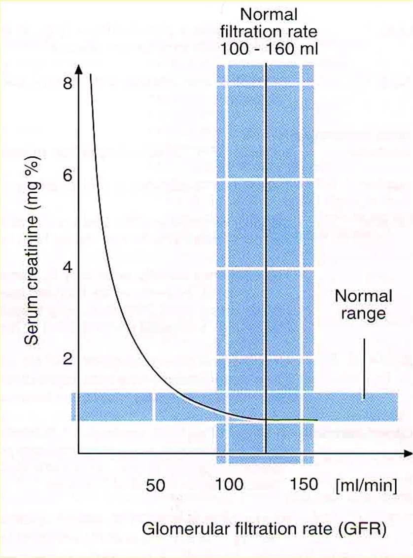 Relazione fra Creatininemia e Velocità di filtrazione glomerulare (VFG) Modificazioni del VFG fra 150 e 30 ml/min corrispondono solo a modeste variazioni della creatininemia