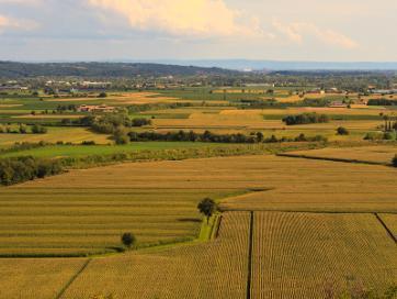 Analisi dell uso del suolo criticità: pressioni di origine antropica (agricoltura, industria,