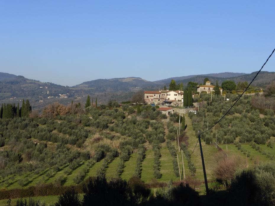 OBIETTIVI Il Distretto biologico di Fiesole è lo strumento fondamentale che rende l agricoltura elemento portante e trainante per uno sviluppo economico che ha come obiettivo la riqualificazione del